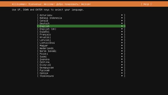Ubuntu installer language selection screen