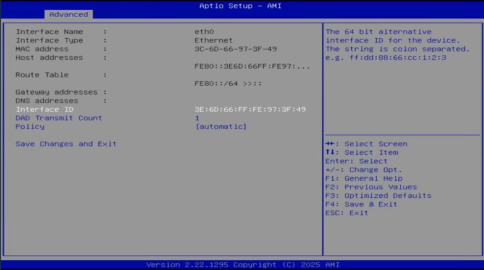 IPv6 Network Configuration with Interface ID, DAD, and Policy settings