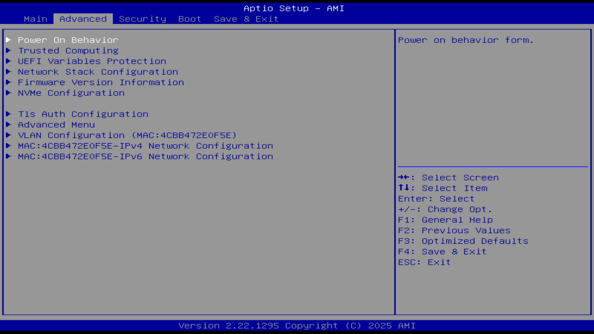 UEFI Advanced tab overview screen
