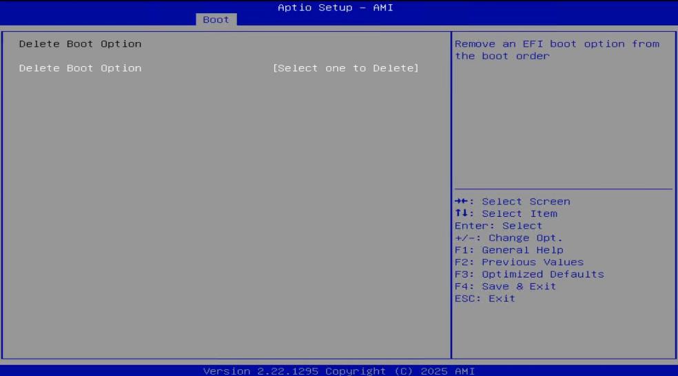 Delete Boot Option screen