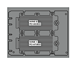 _images/dgx-b300-nvme-card.png