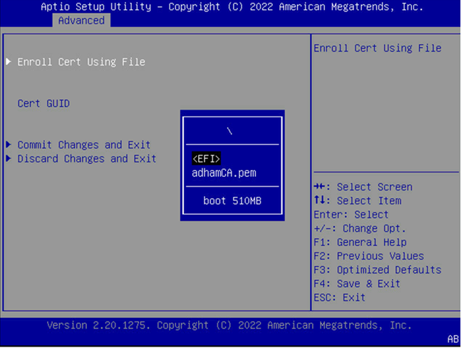 _images/update-sbios-cert-step11.png