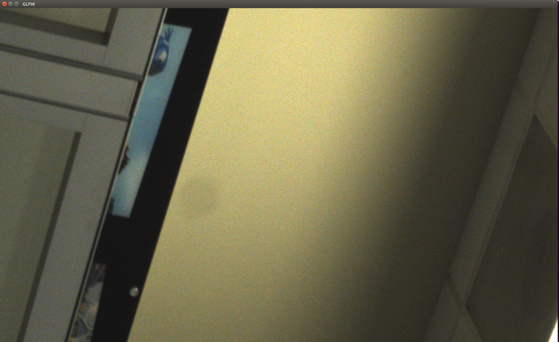 sample_camera_pointgrey.png