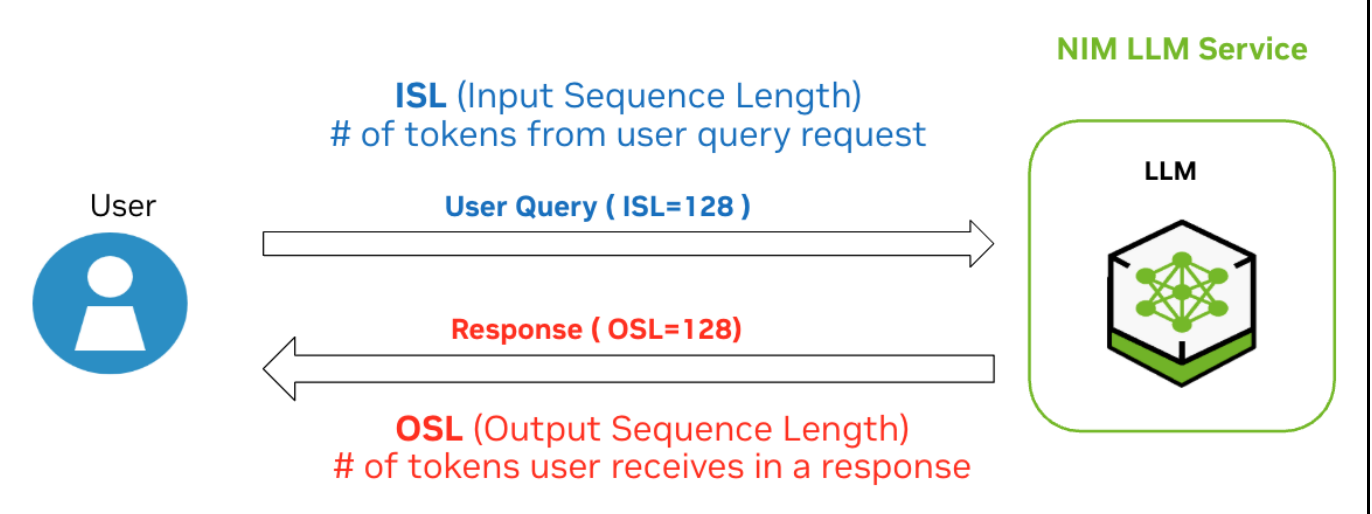 RAG-OFF Benchmark diagram showing user query sent directly to LLM NIM