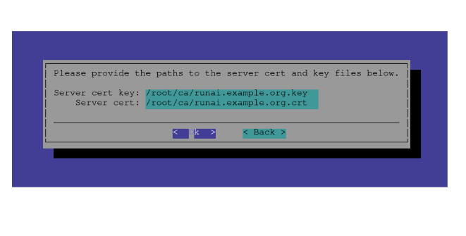 _images/nim-runai-bcm-cert-path-dialog.png