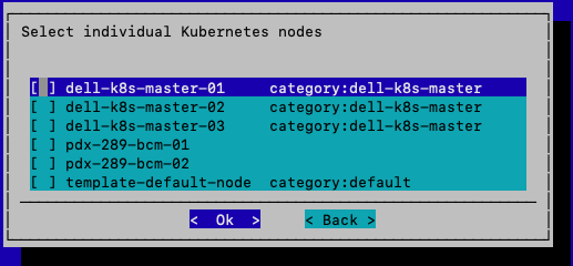 _images/upstream-kubernetes-deployment-guide-p9-img106.png