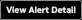 alert detail