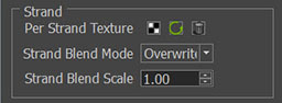 _images/hwViewer_Hair_GraphicsStrand.jpg