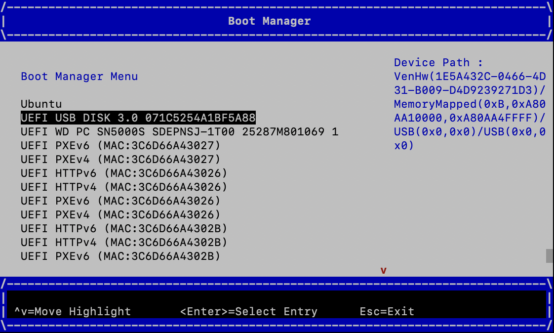 Boot from the USB flash drive