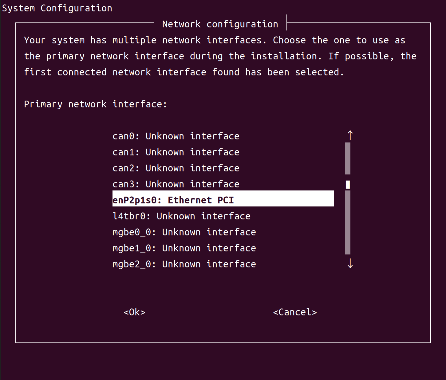 ../_images/OemConfigNetworkInterface.png