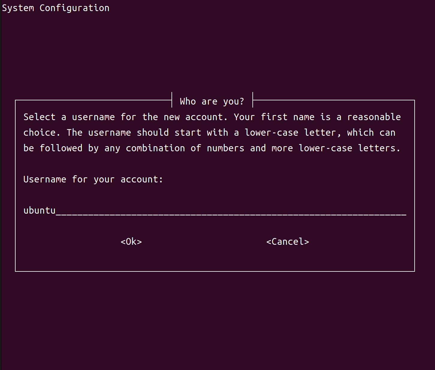 ../_images/OemConfigUserName.png