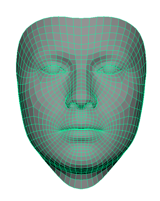 "Modified face model topology of face_model2.nvf, as seen from front"