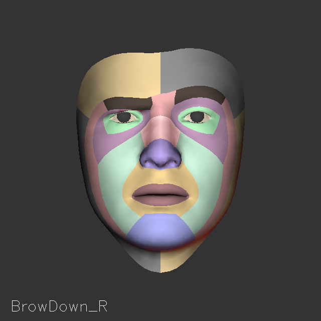 "BrowDown_R"