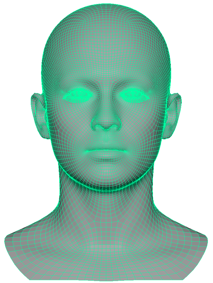 "Original ICT face model topology, as seen from front"