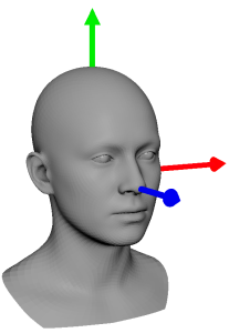 "Conceptual diagram of NvAR Model 3D space"
