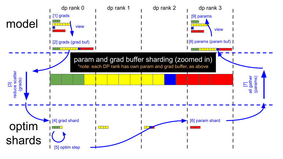 Diagram of gradient and parameter data flow through reduce-scatter, optimizer step, and all-gather across data parallel ranks