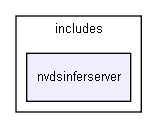 nvdsinferserver