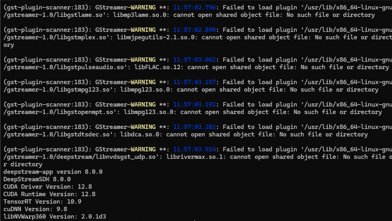 Warning during initial deepstream-app run