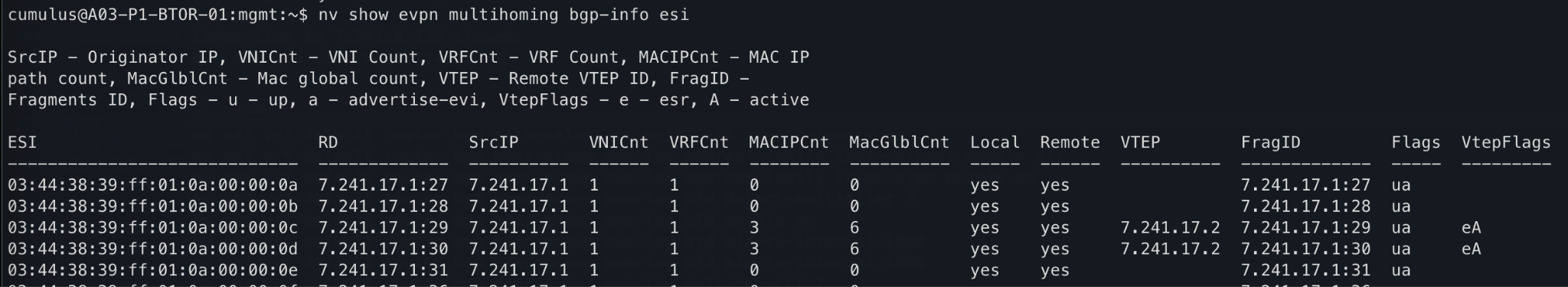 EVPN Multihoming BGP Info ESI