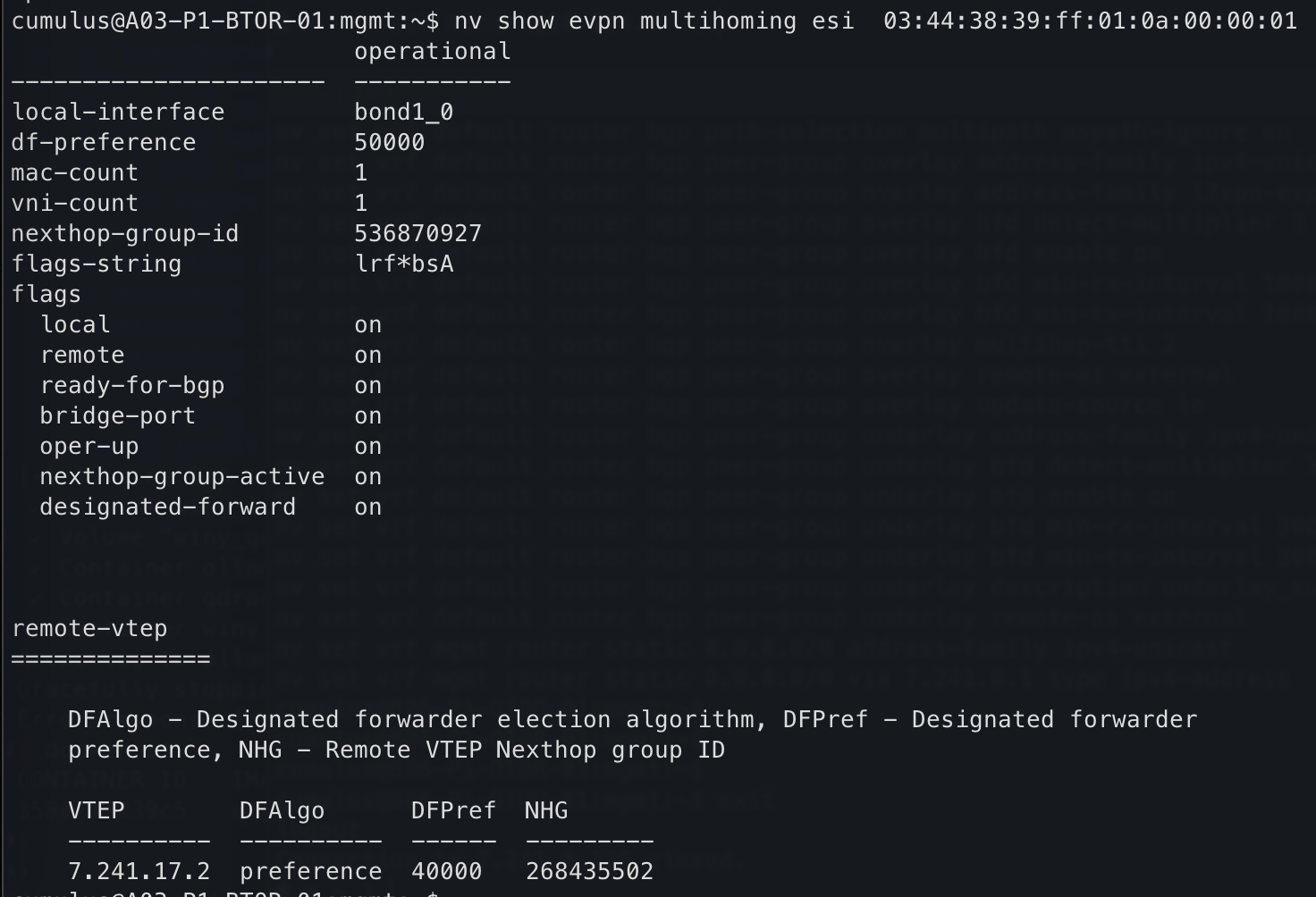 EVPN Multihoming a specific ESI