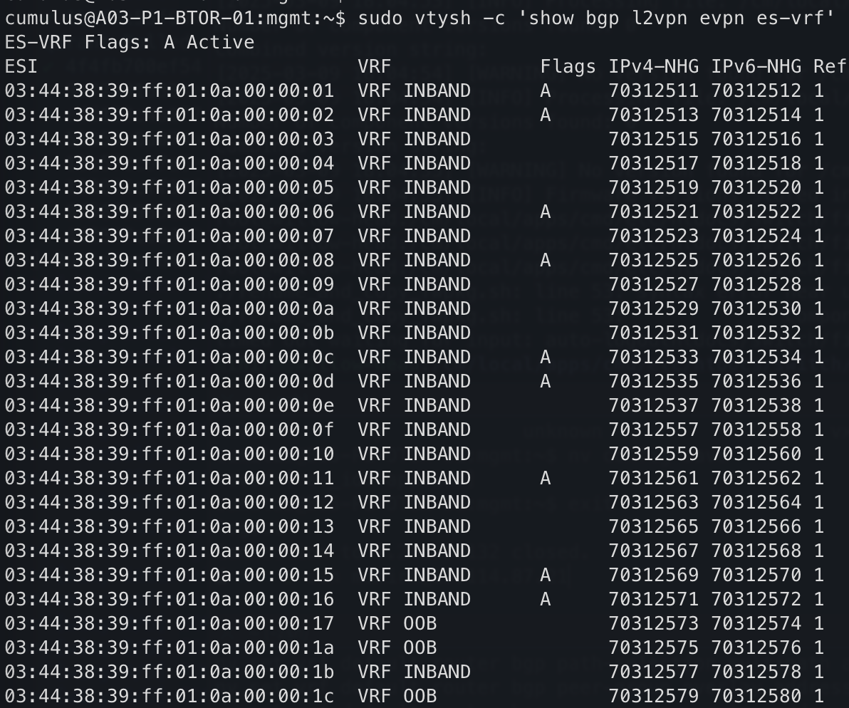 Show BGP EVPN ES-VRF