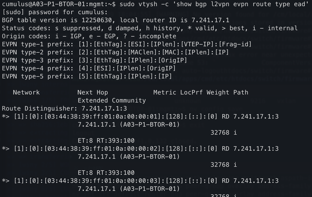 EVPN Routes Multihoming BGP Info ESI