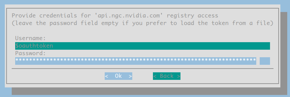 NGC API Token