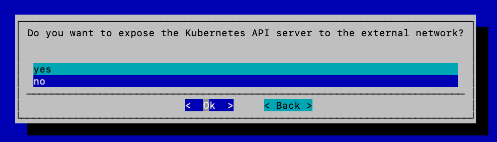 Exposing the Kubernetes API servers to the cluster's external network