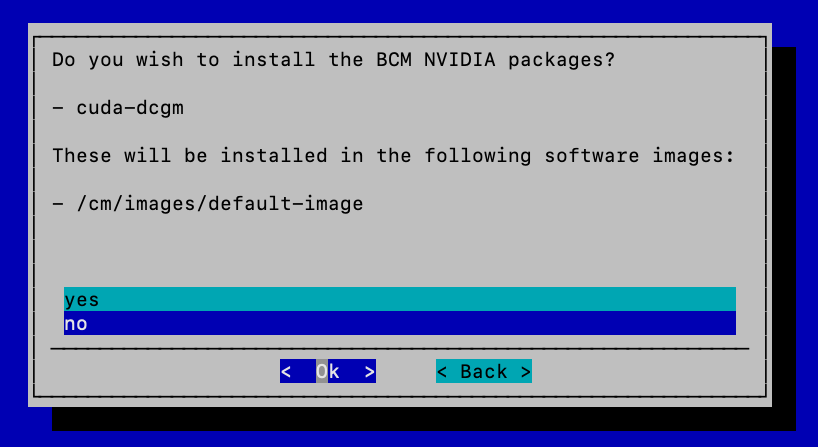Choose no to install BCM NVIDIA packages