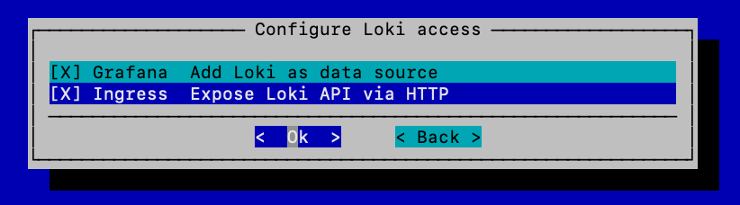 Select both options for Loki access