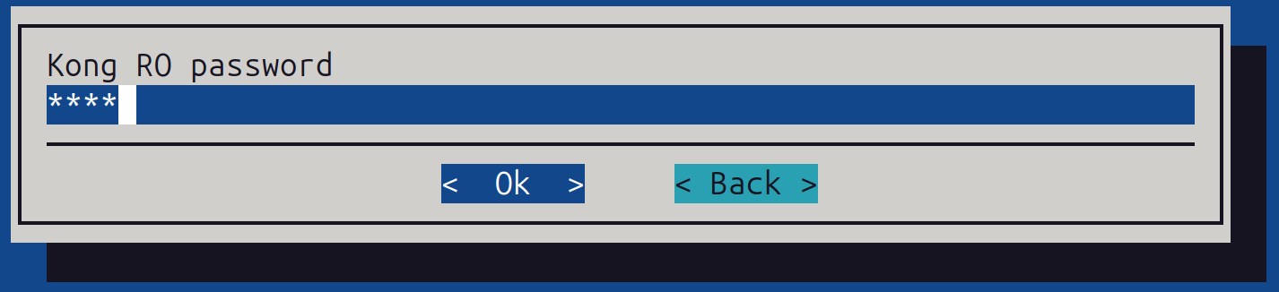 Kong password configuration screen
