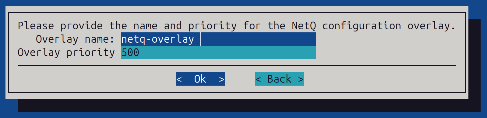 NetQ overlay name and priority configuration screen
