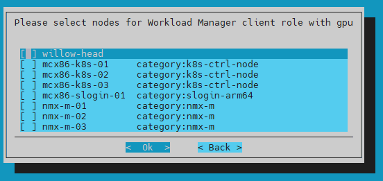 Client Role Nothing Chosen
