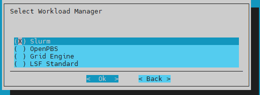Select Workload Manager