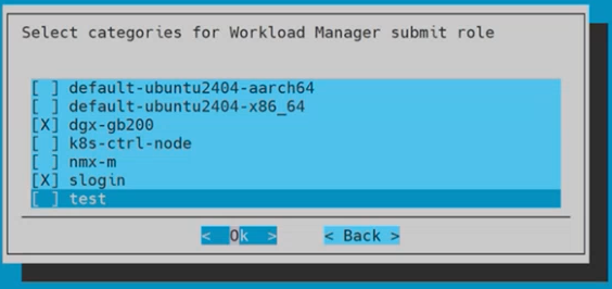 Workload Manager Submit Role Categories