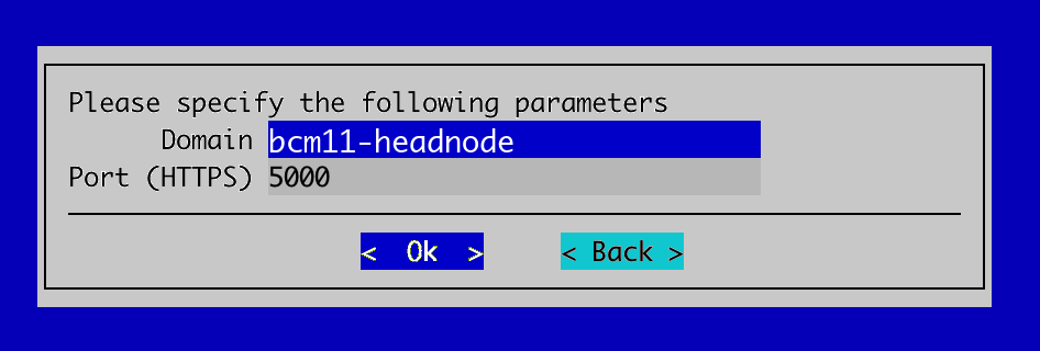 Specify domain and port