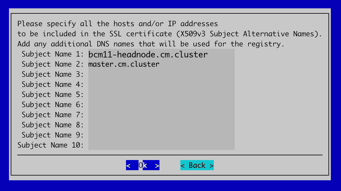 Specify all hosts for SSL certificate