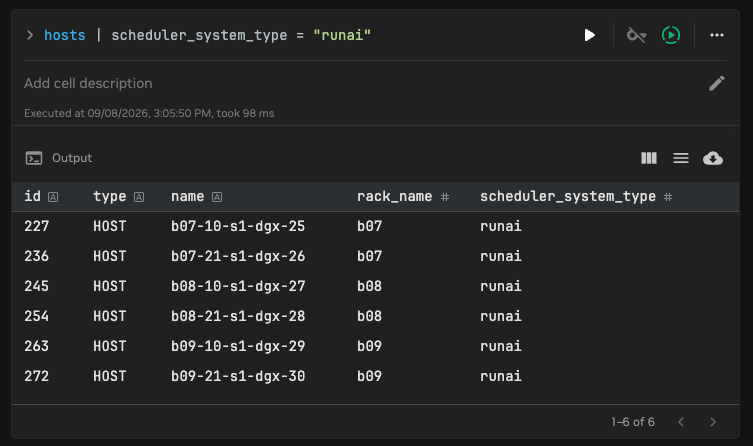 Run:ai node discovery
