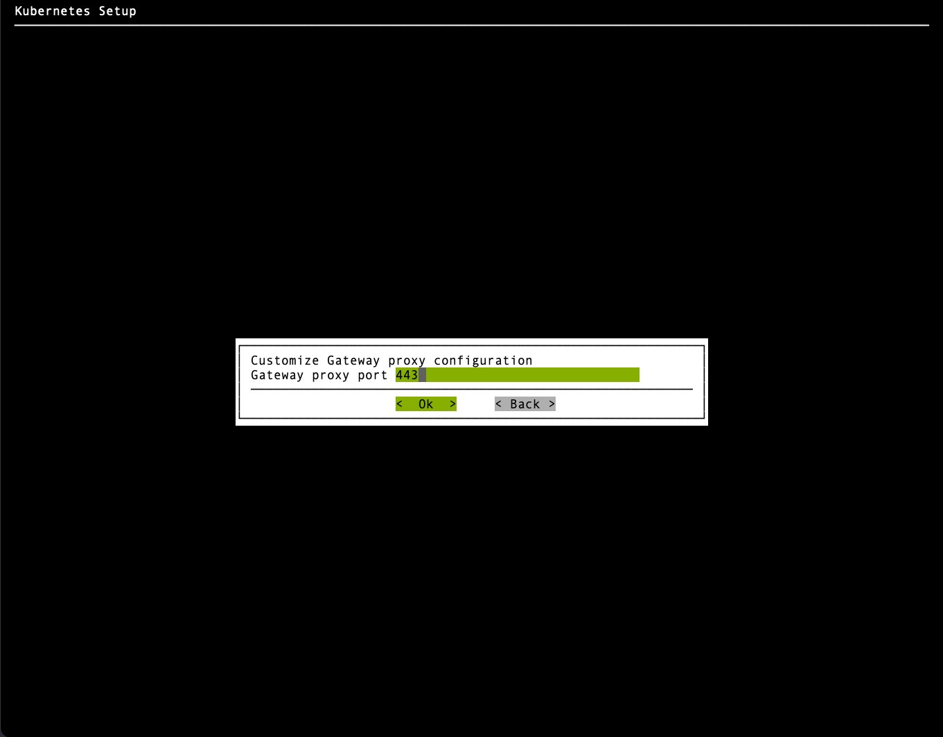 Keep the default Gateway proxy port of 443
