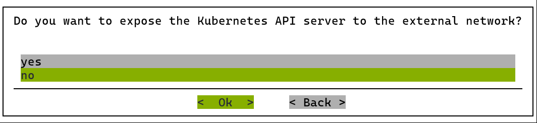Exposing the Kubernetes API servers to the cluster's external network