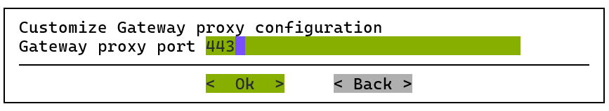 Keep the default Gateway proxy port of 443