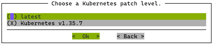 Choose Kubernetes Patch Level