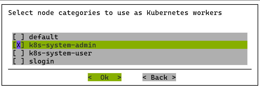 k8s-system-admin selected as the worker node category