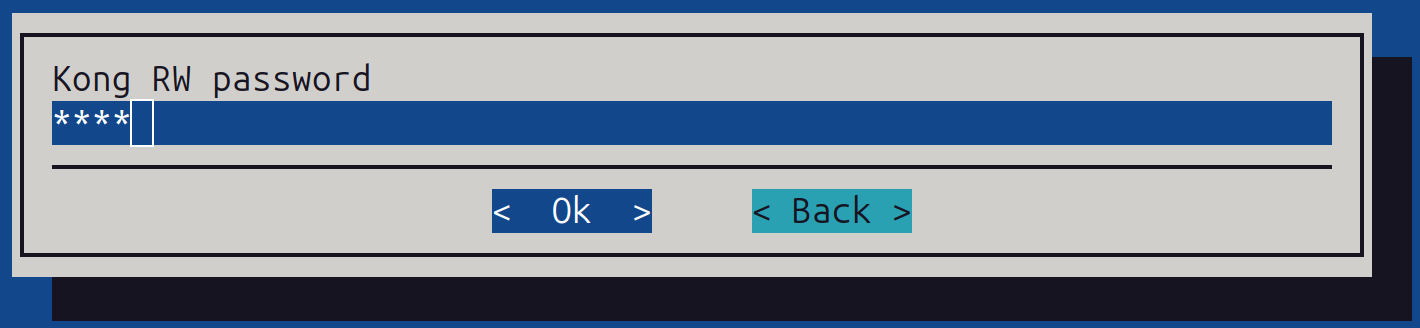 Kong username configuration screen