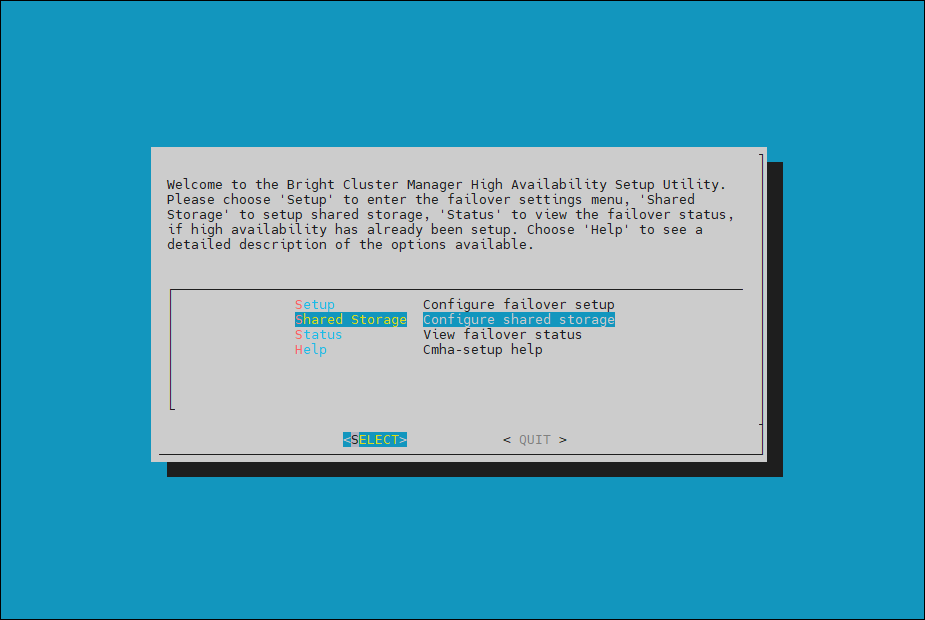 Shared storage setup screen