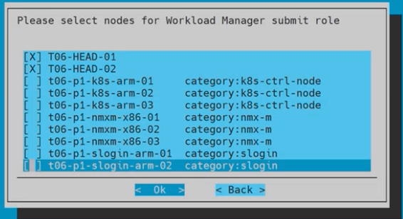 Workload Manager Submit Role Nodes