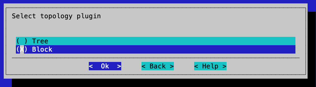 Block the Slurm Topology Plugin