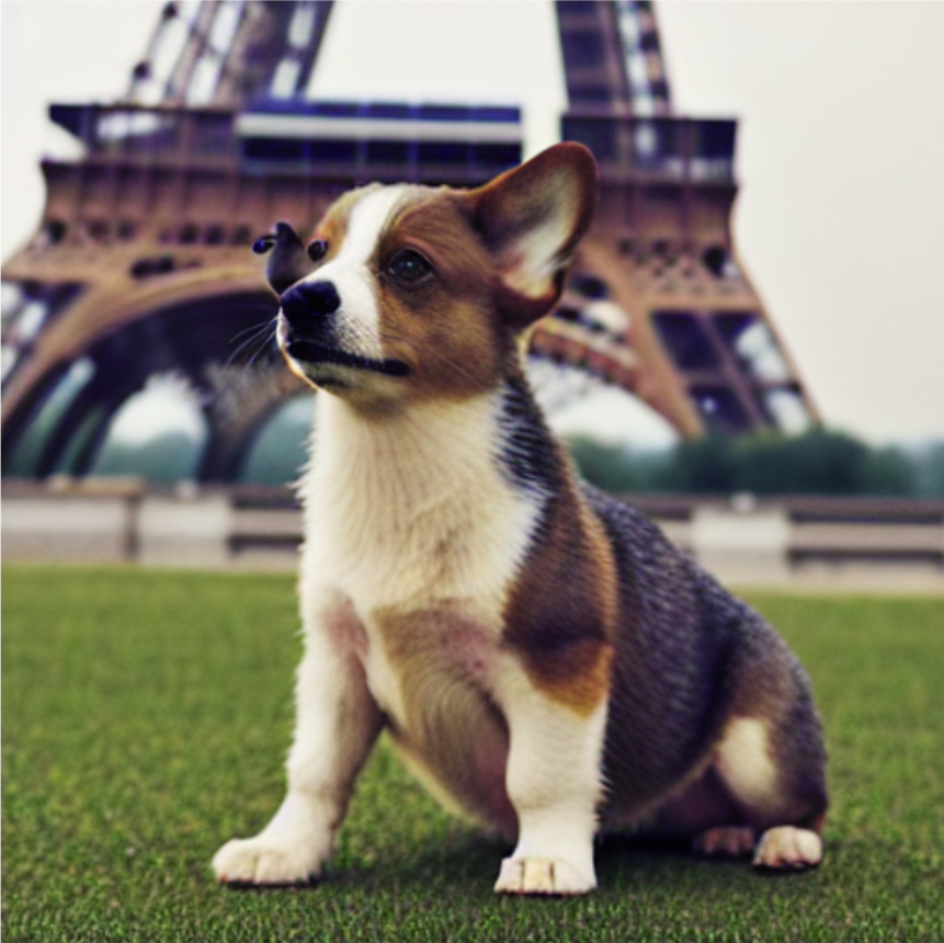 ../../../_images/Dreambooth_Eiffel_towel.png