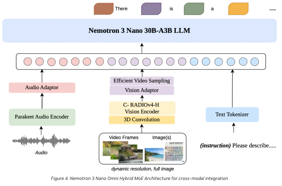Nemotron 3 Nano Omni hybrid MoE architecture: Parakeet audio encoder → audio adaptor, C-RADIOv4-H vision encoder + 3D convolution + Efficient Video Sampling → vision adaptor, text tokenizer, all feeding the unified 30B-A3B LLM decoder