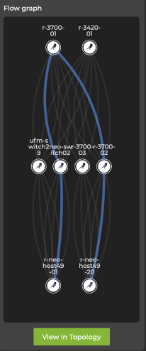 flow graph panel highlighting a selected path with several unselected paths also displayed